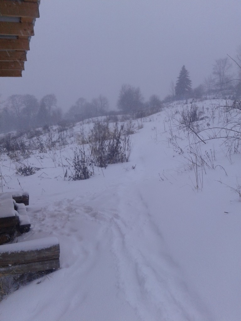 20150111_094221