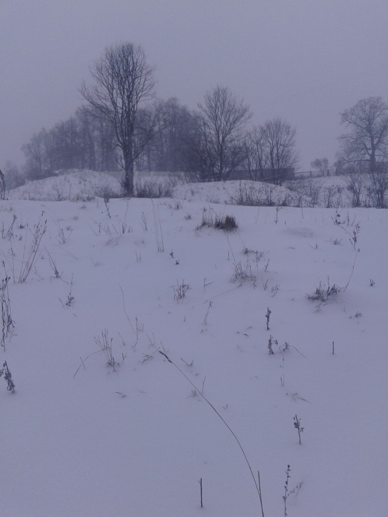 20150111_094227