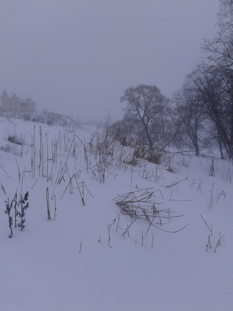 20150111_094244