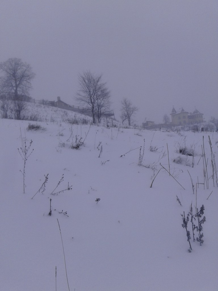 20150111_094246