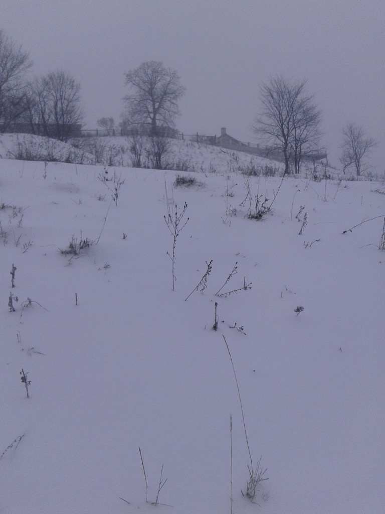 20150111_094249